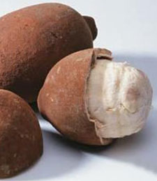 cupuaçu